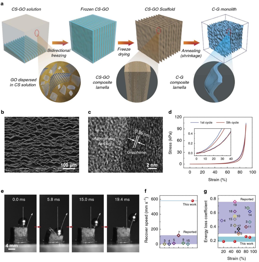 超弹性耐疲劳宏观尺度碳纳米组装体材料的仿生设计制备获得成功